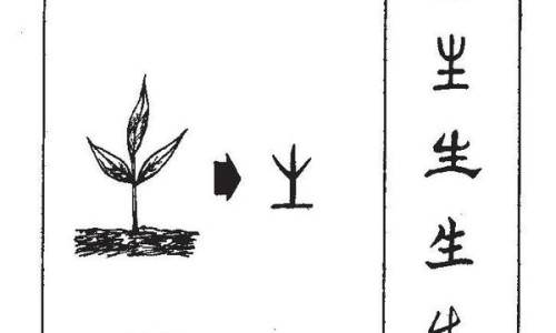 五谷子的功效与作用及禁忌-五谷子的功效与作用网五谷子的功效与作用知识网站,分享五谷子的功效与作用是什么大全